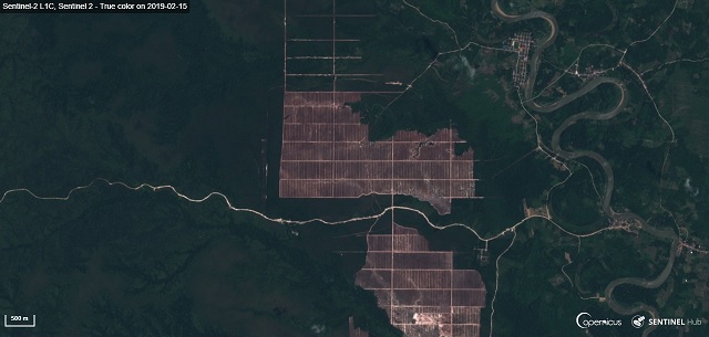 Kalimantan, Indonezja, Sentinel-2 - 2019-02-15 (fot. CREODIAS - ESA)