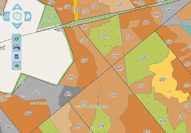 Jedna ze zgłoszonych map - Mapa drzewostanów w portalu Banku Danych o Lasach