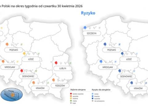 Nowy serwis pyłkowy z informacjami dla alergików